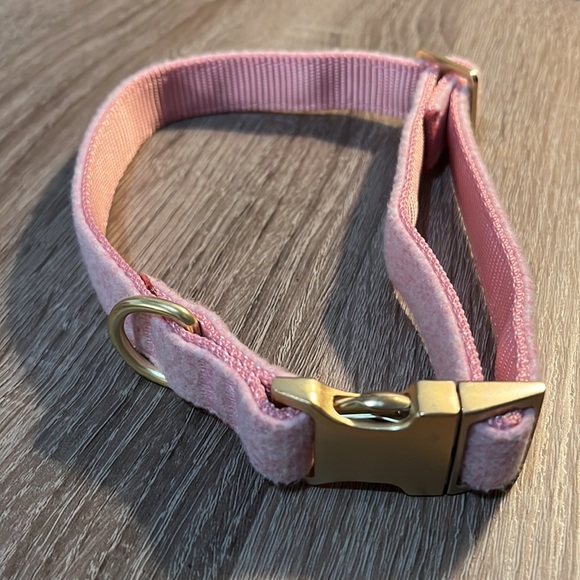 Clip on dog collar - Picture 3 of 7